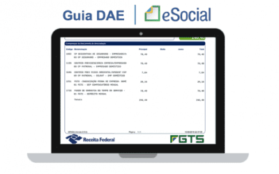 Entenda os valores da guia DAE – eSocial Doméstico